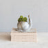 Stoneware Snail Vase or Planter