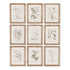 BOTANICAL ILLUSTRATIONS, SET OF 9 BY NAPA HOME & GARDEN - A. Dodson's