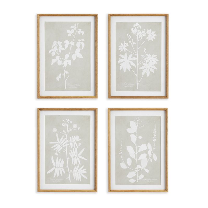 FOLIAGE STUDY, SET OF 4 BY NAPA HOME & GARDEN - A. Dodson's