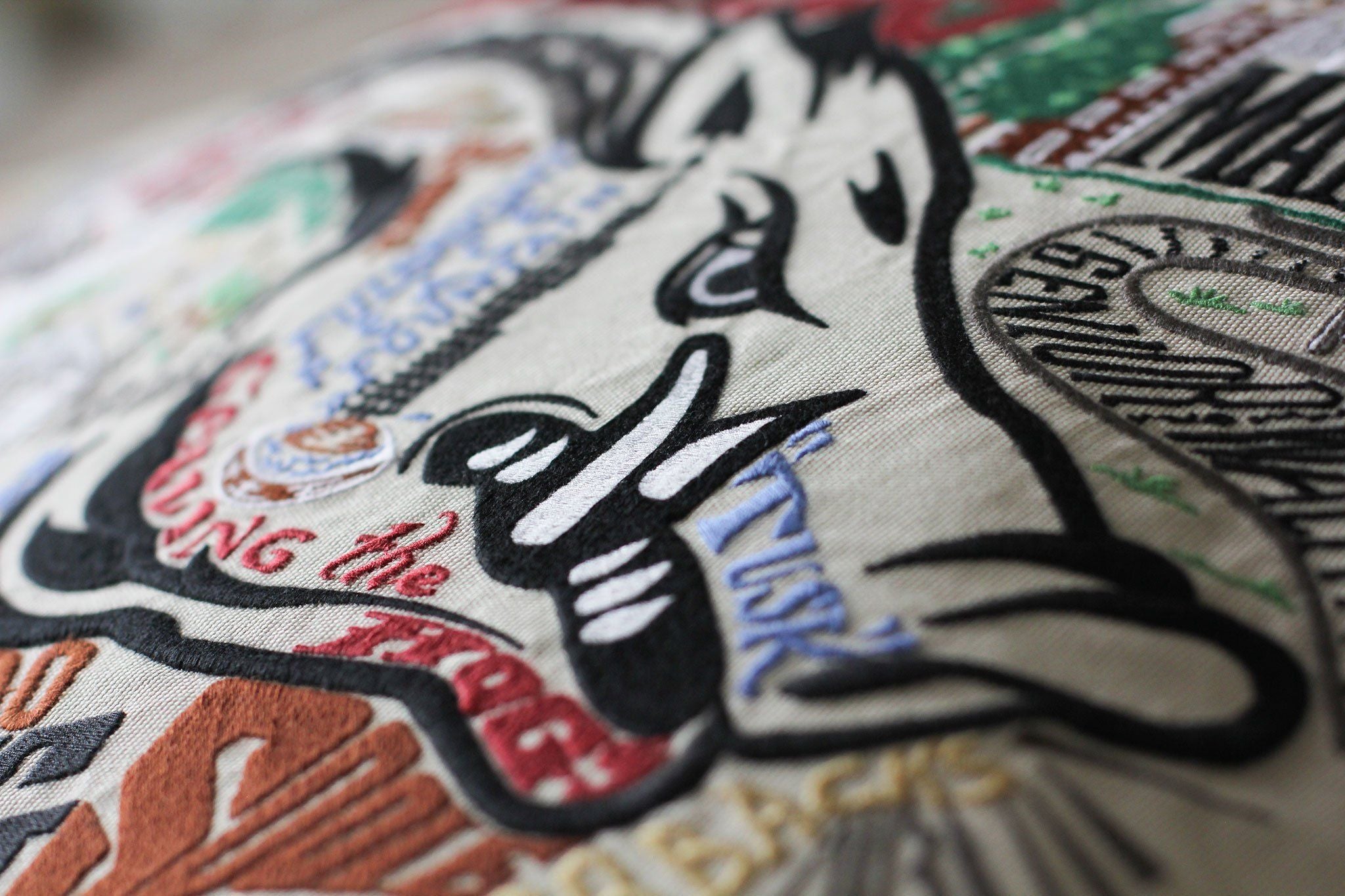 UNIVERSITY OF ARKANSAS PILLOW BY CATSTUDIO - A. Dodson's