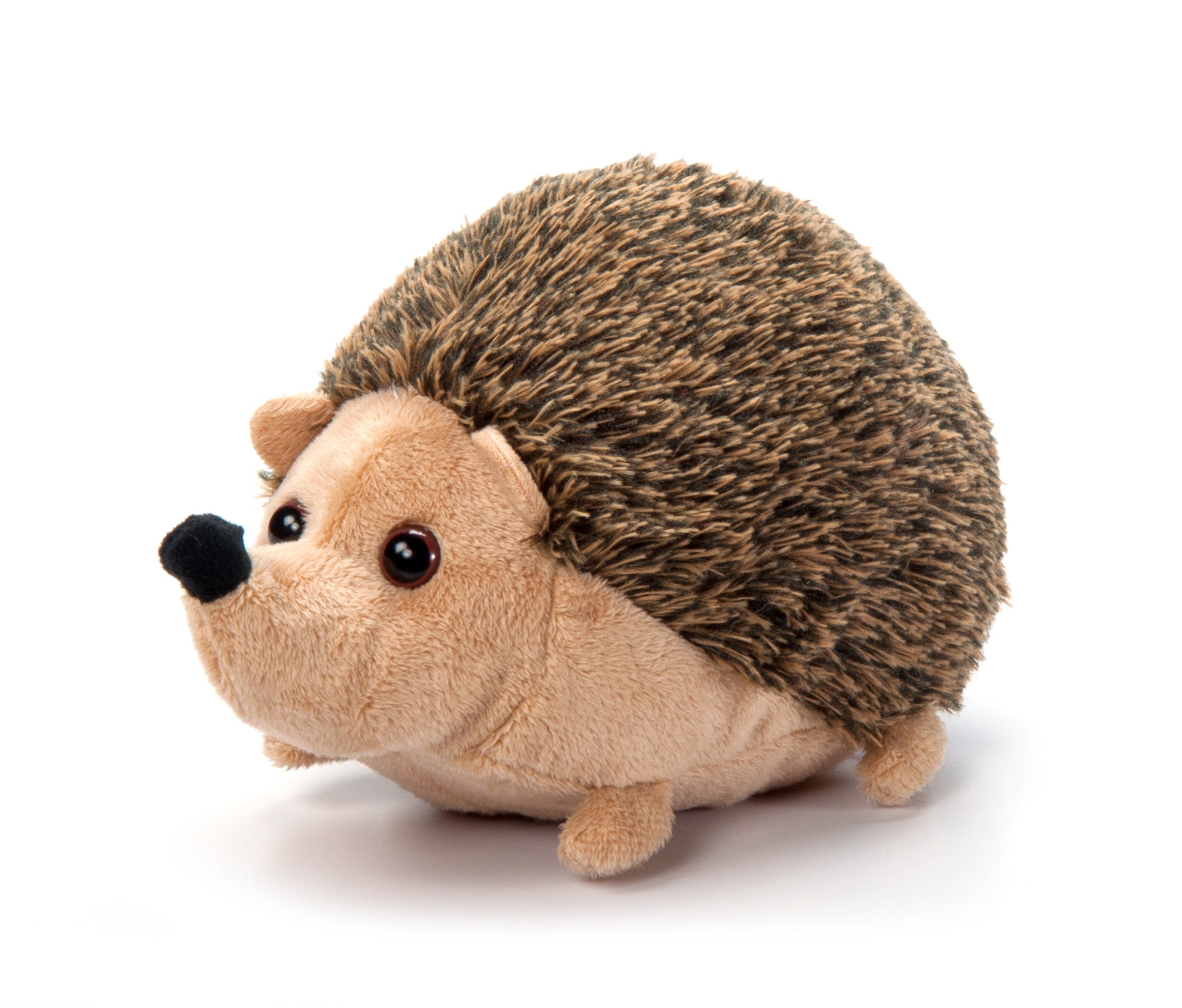 Scoopz Hedgehog 8" Plush by Zoologee