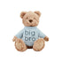 Big Bro Plush
