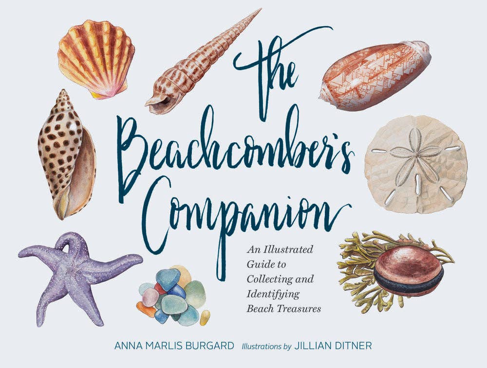 The Beachcomber's Companion