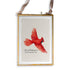 Flying Cardinal