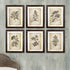 FRAMED VINTAGE FLORAL PRINTS, SET OF 6 - view 4