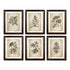 FRAMED VINTAGE FLORAL PRINTS, SET OF 6