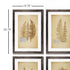 FRAMED VINTAGE FERN PRINTS, SET OF 8 - view 2