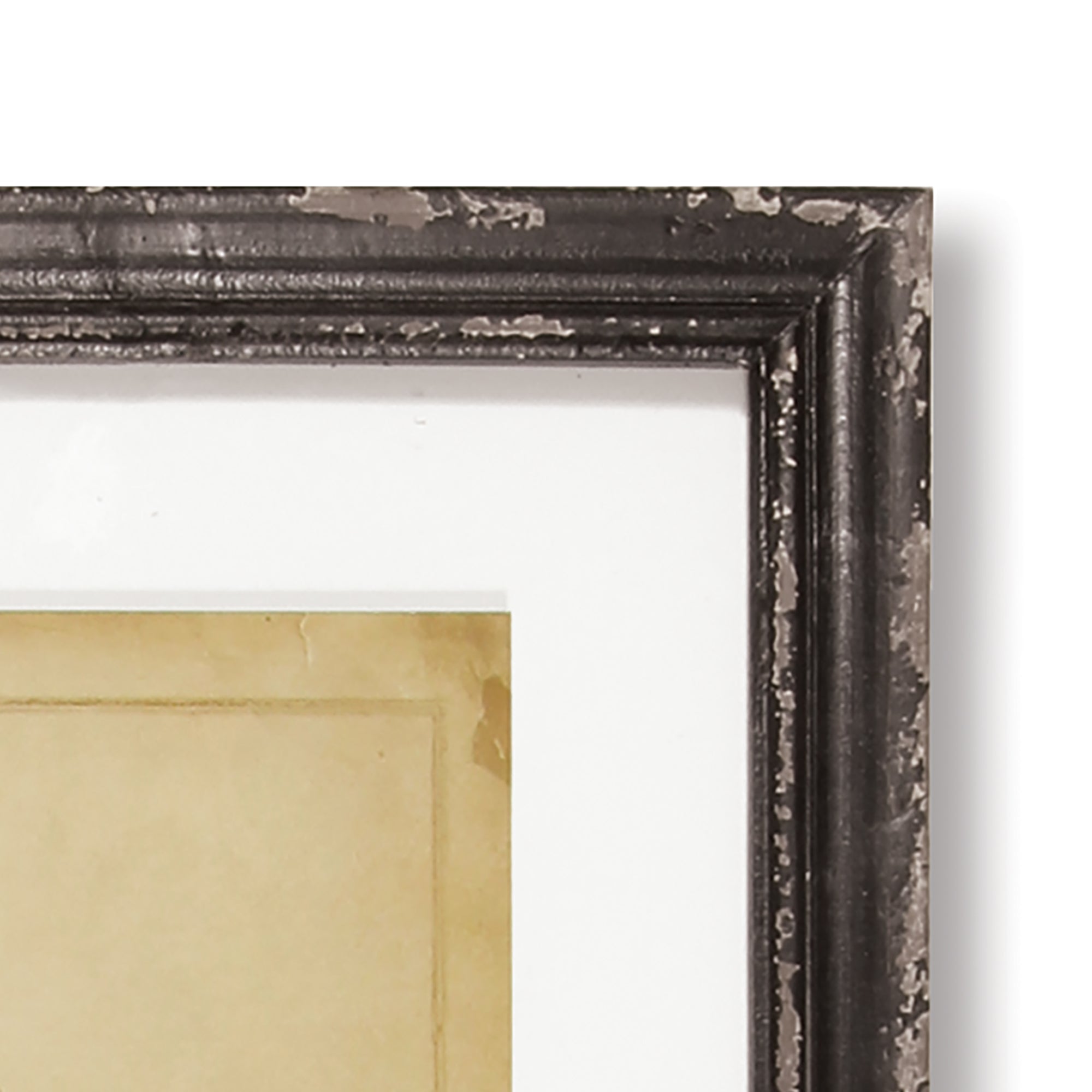 FRAMED VINTAGE FERN PRINTS, SET OF 8 - view 3