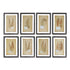 FRAMED VINTAGE FERN PRINTS, SET OF 8