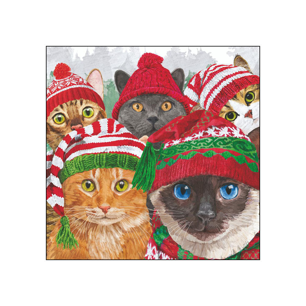 Cat Usie Beverage Napkins