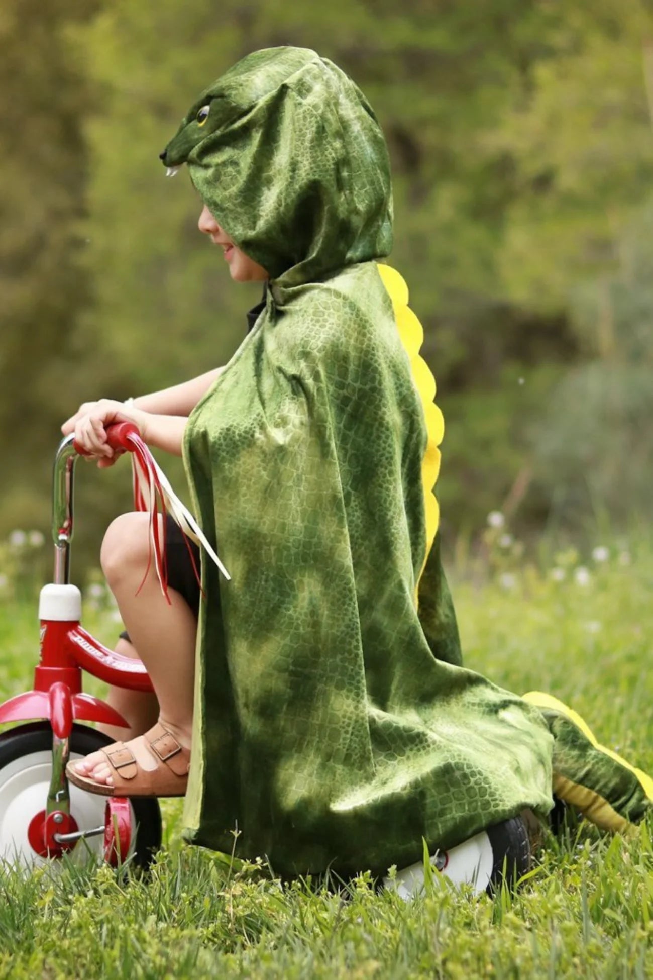 T-Rex Hooded Dinosaur Cape - A. Dodson's