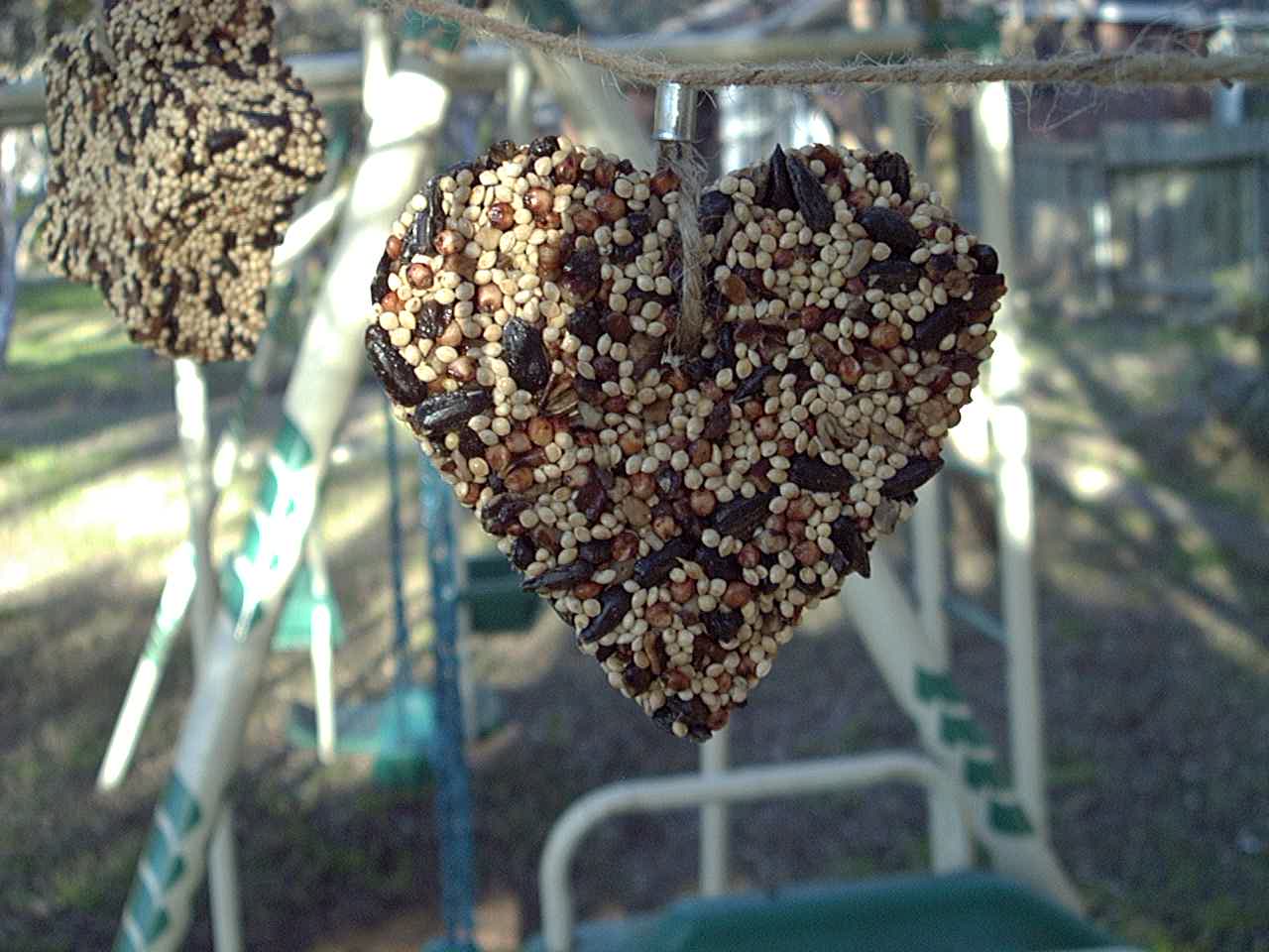 Little Heart Bird Seed Feeder