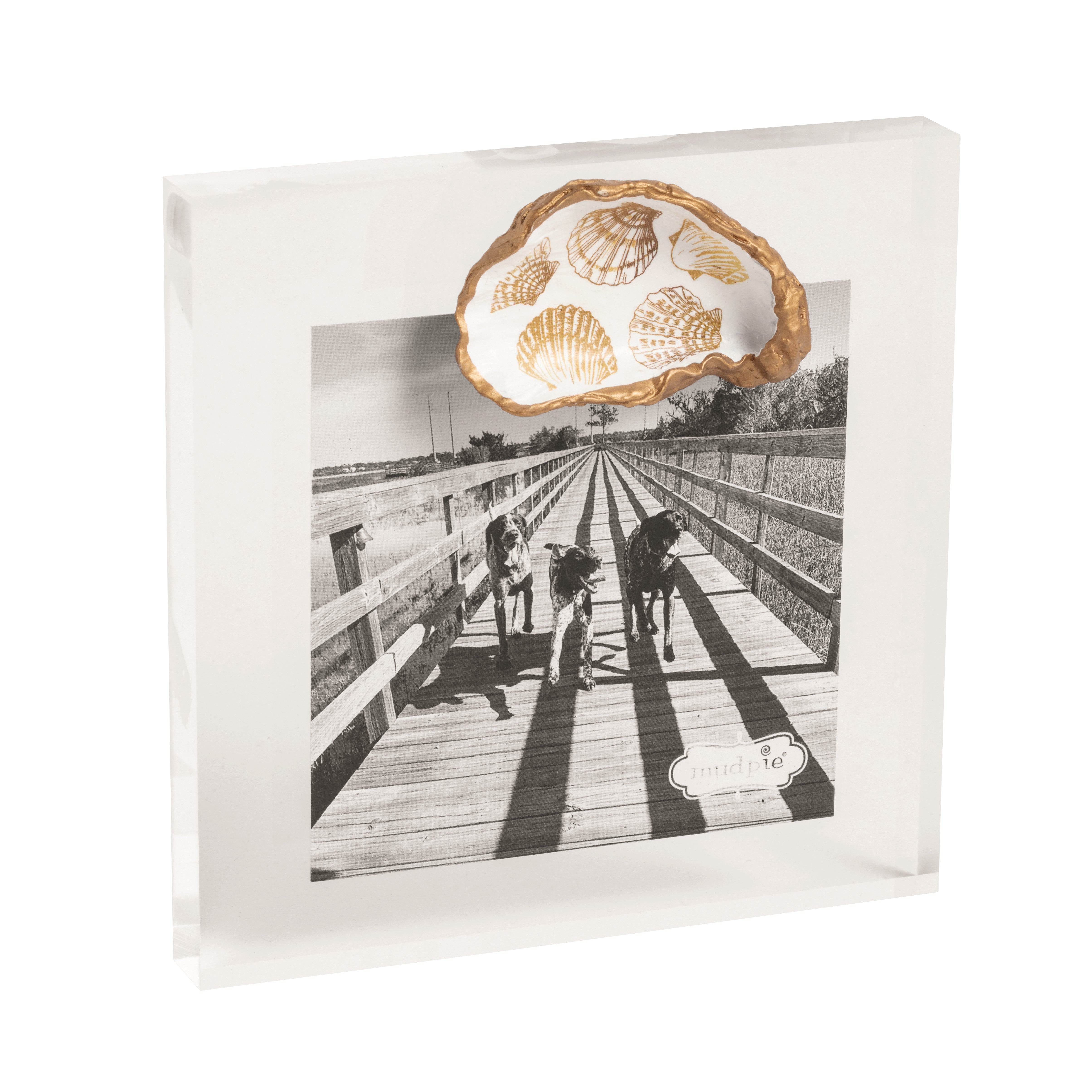 Acrylic Gold Shells Frame