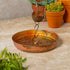 Rain Chain Basin, Metal, Oil Rubbed Textured Bronze