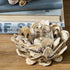 Oyster Votive /Tealight Candleholder