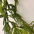 58" Natural Touch Norfolk Pine Garland–Realistic Fresh Touch