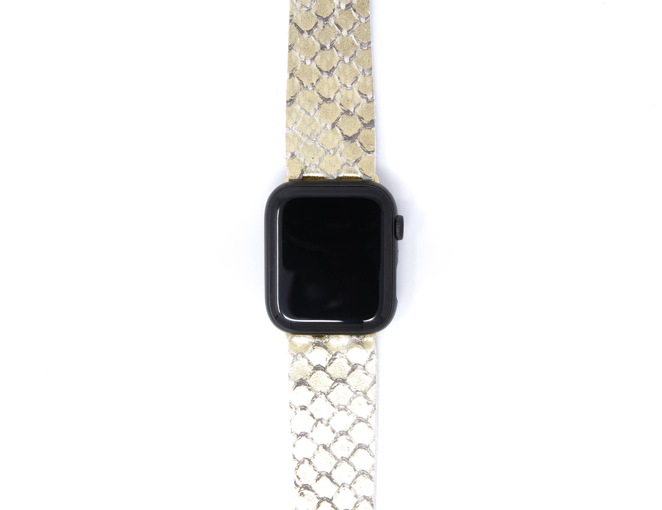 Taylor Watch Band