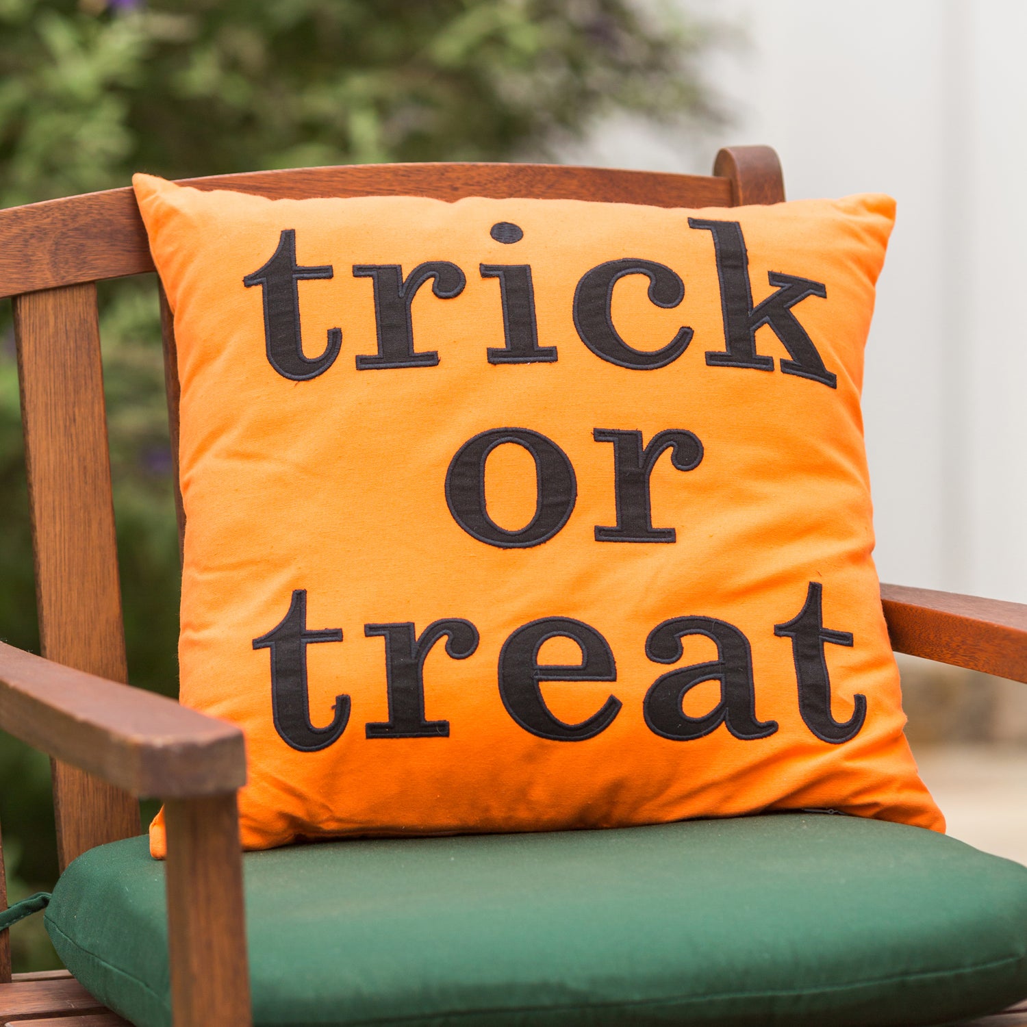 Trick or Treat Pillow