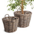 NORMANDY TREE BASKETS, SET OF 2
