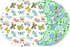 Summerfly and Gratibloom Art Pop