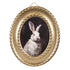 Wall Decor, Rabbit Portrait in Round Gold Decorative Frame