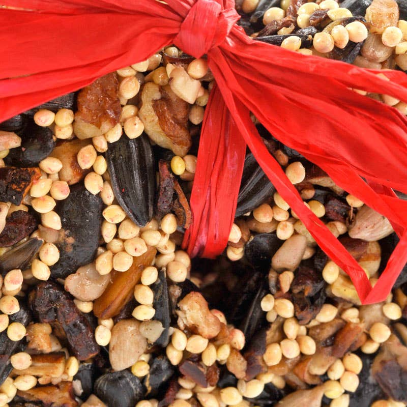 Little Heart Bird Seed Feeder