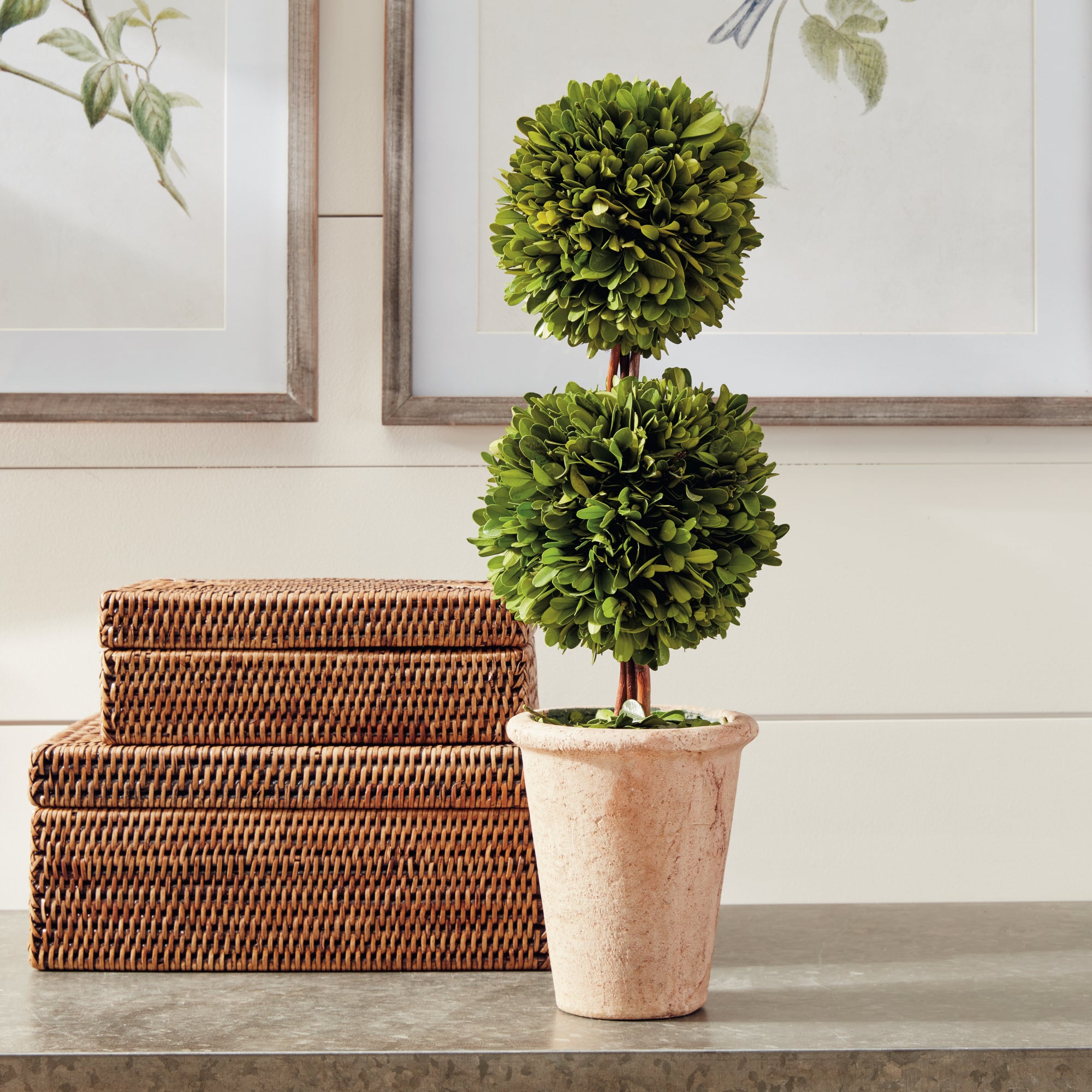 Boxwood Double Sphere Topiary 20" - View 3