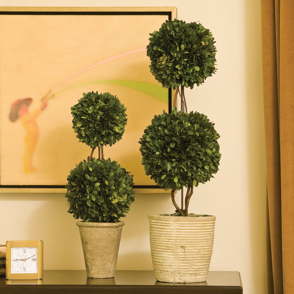 Boxwood Double Sphere Topiary 28" - View 2