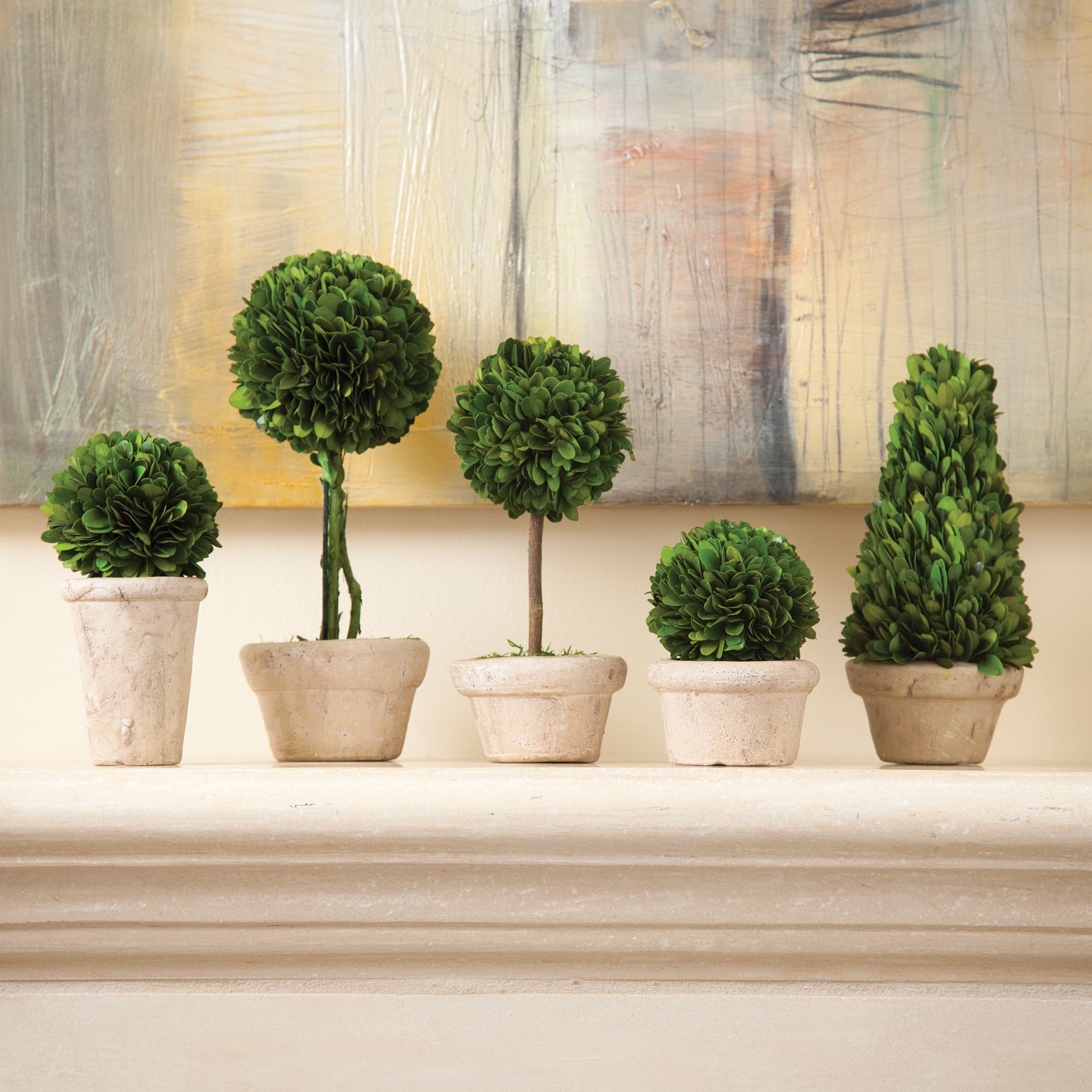 Boxwood Topiaries In Pots, Set Of 5 - View 2