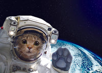 CAT IN SPACE CARD
