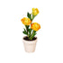 Ranunculus in Cement Look Pot