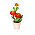 Ranunculus in Cement Look Pot
