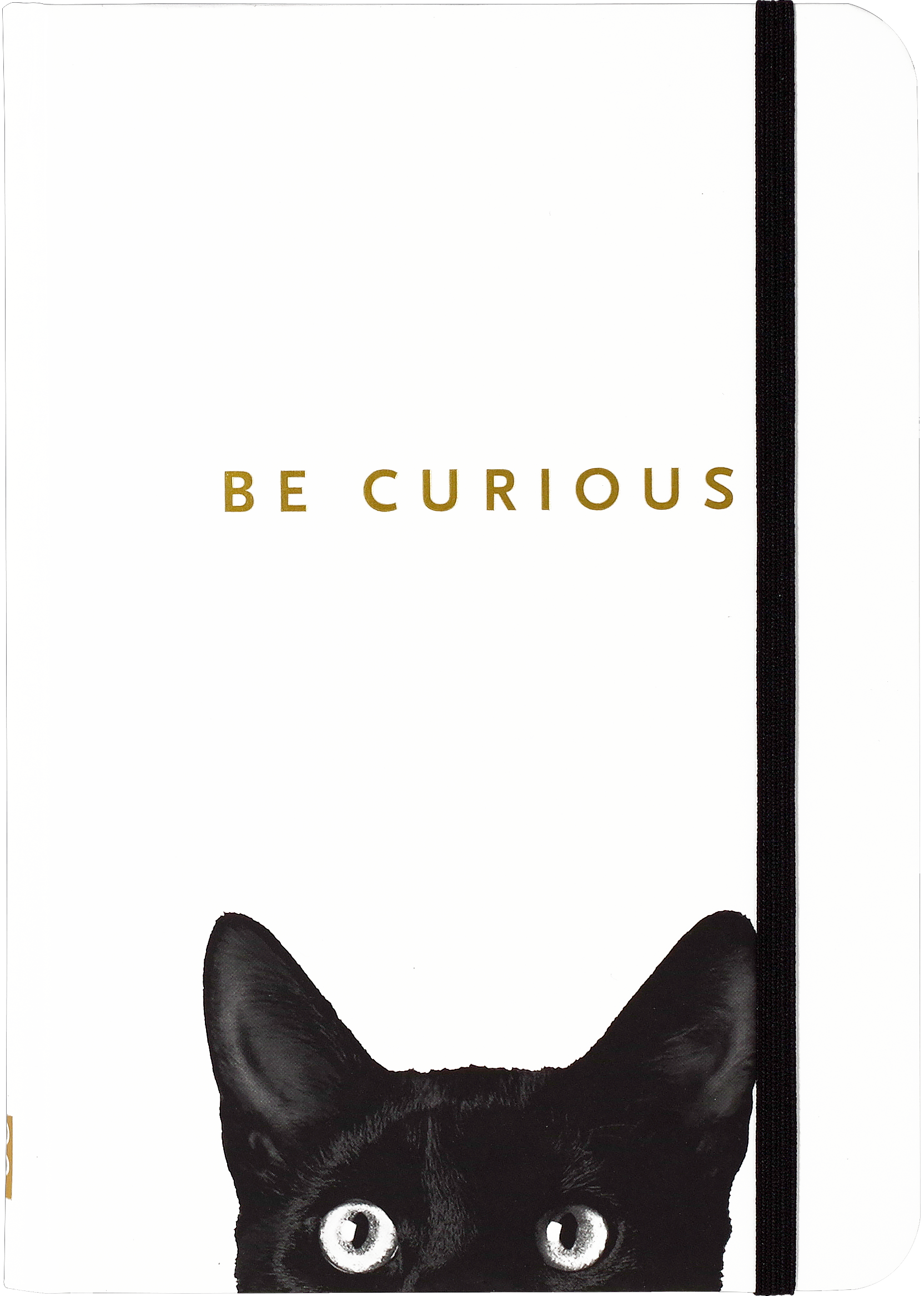 Small Journal Curious Cat