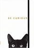 Small Journal Curious Cat
