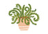 HAPPY EVERYTHING 2025 ATTACHELOR HAPPY HOUSE PLANT BIG ATTACHMENT