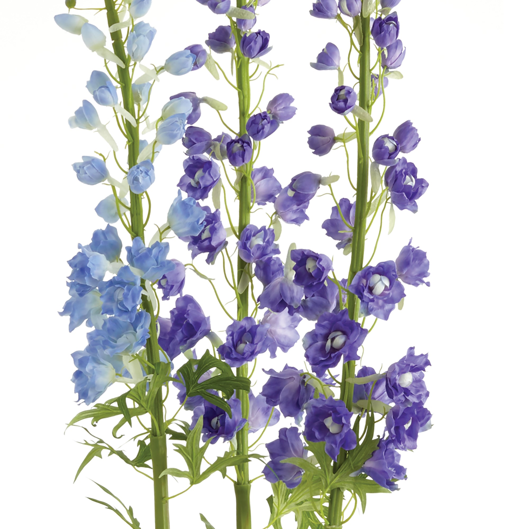 Delphinium Drop-In 53" - View 3