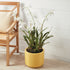 Spider Orchid Drop-In 44" - View 3