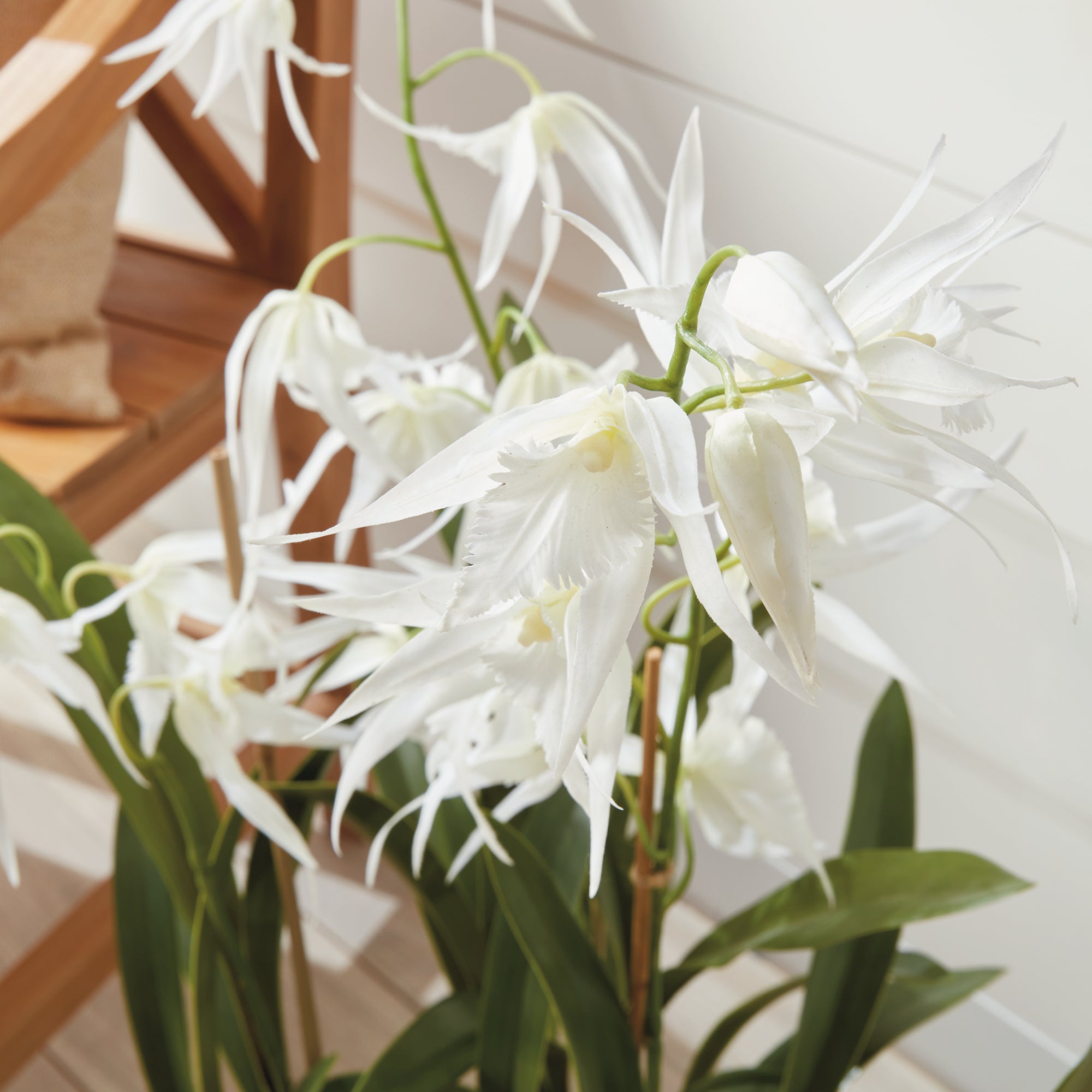 SPIDER ORCHID DROP-IN 44" - view 5