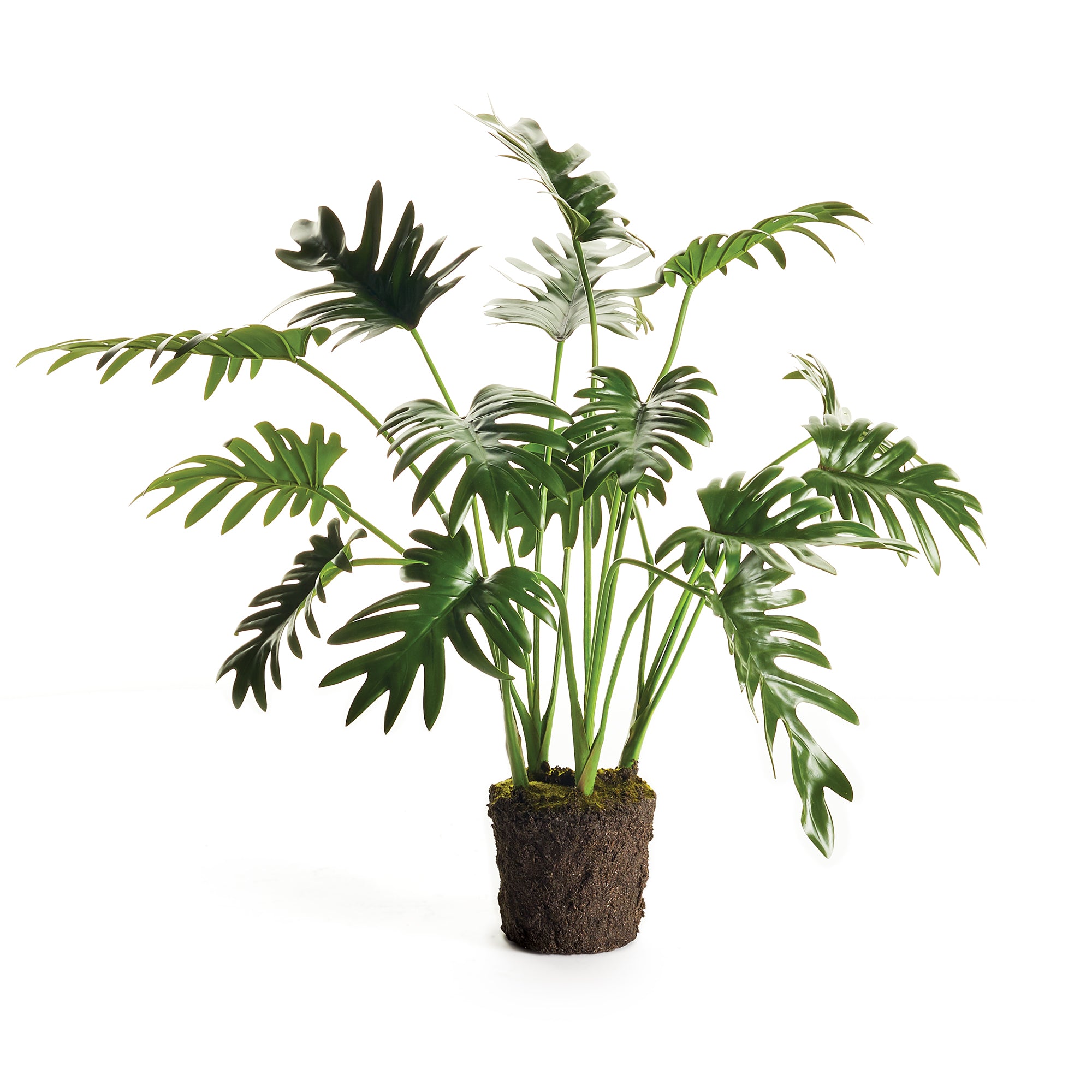 SPLIT LEAF SELLOUM DROP-IN 22.5"