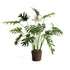 SPLIT LEAF SELLOUM DROP-IN 22.5"