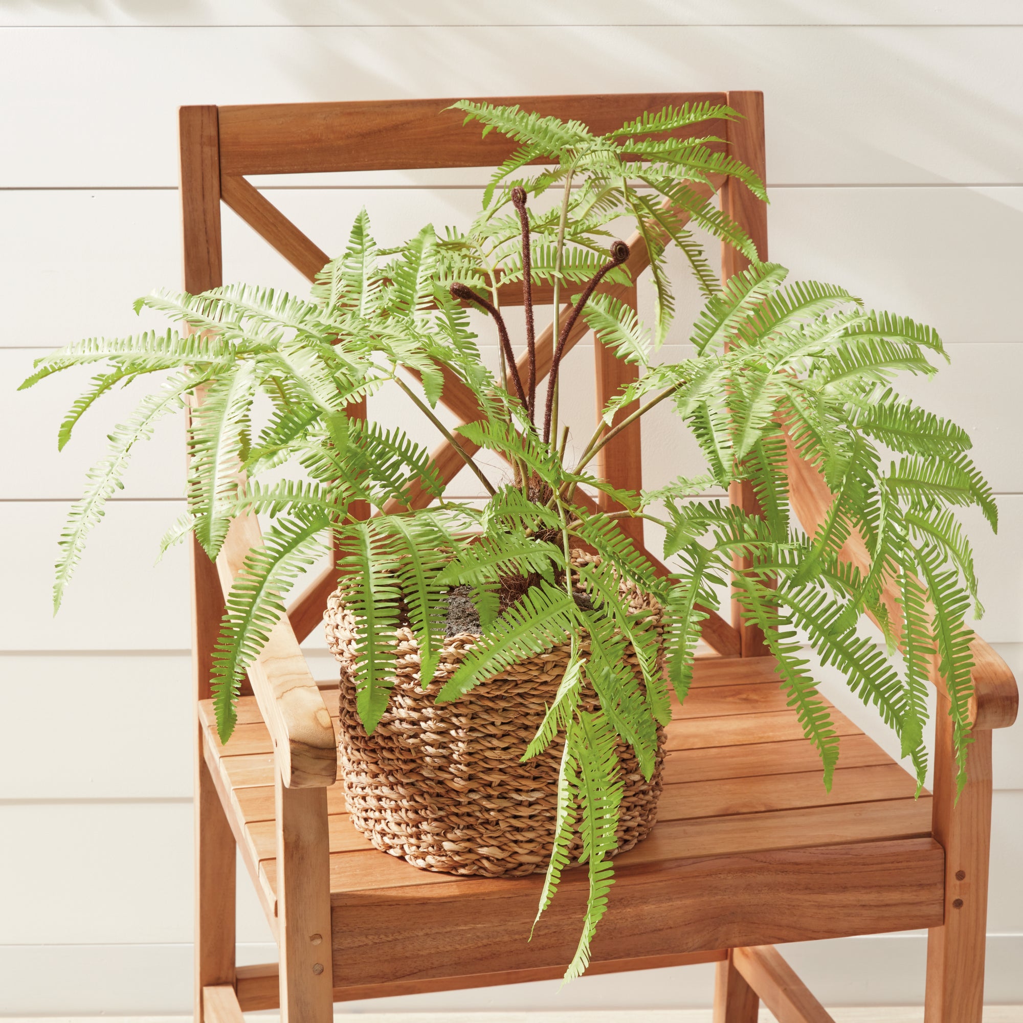 FOREST FERN DROP-IN 29.5" - view 3