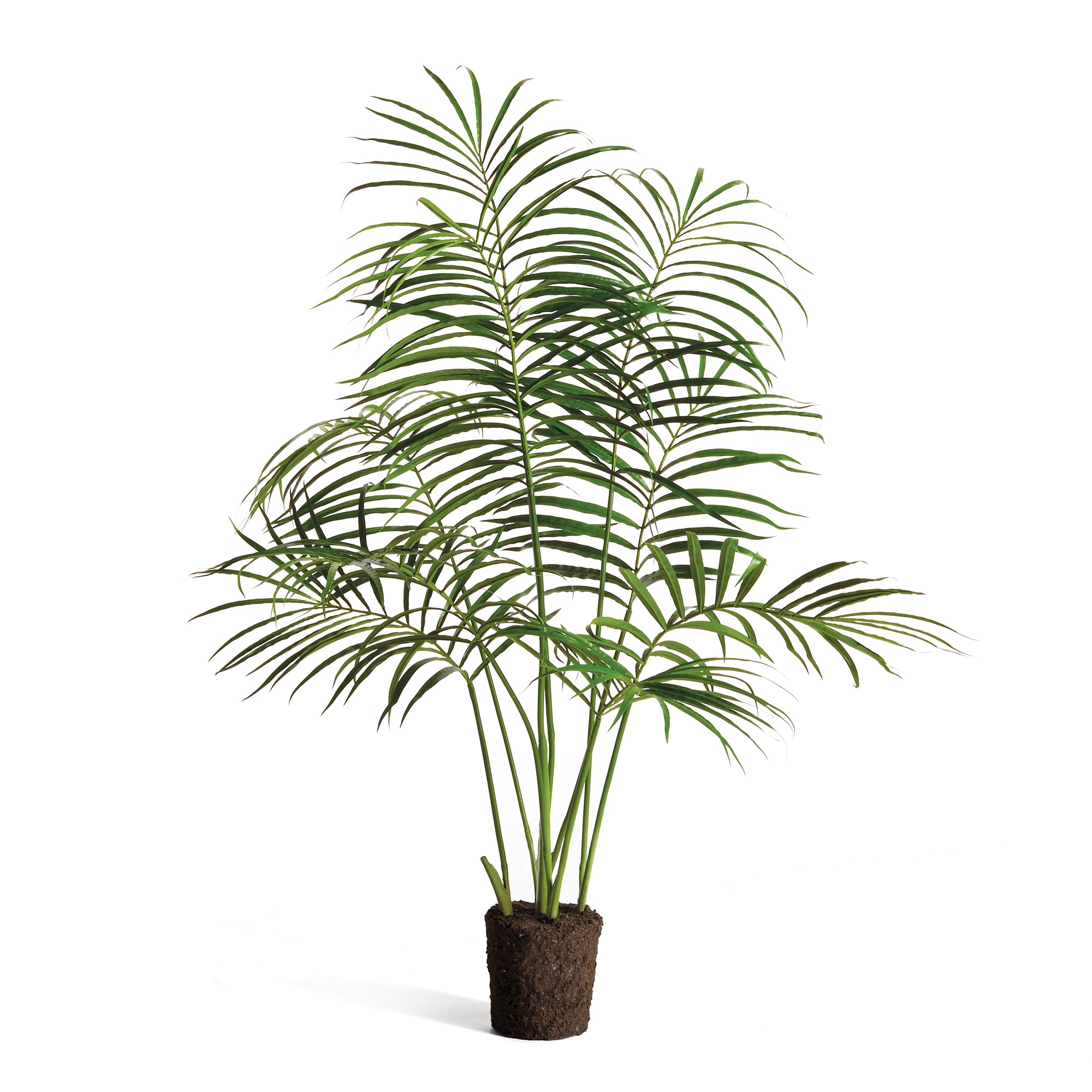 PALM TREE DROP-IN 50"