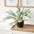 Staghorn Fern Drop-In 21" - View 3