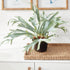 Staghorn Fern Drop-In 21" - View 4