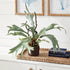 Staghorn Fern Drop-In 22" - View 7