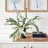 Staghorn Fern Drop-In 22" - View 8