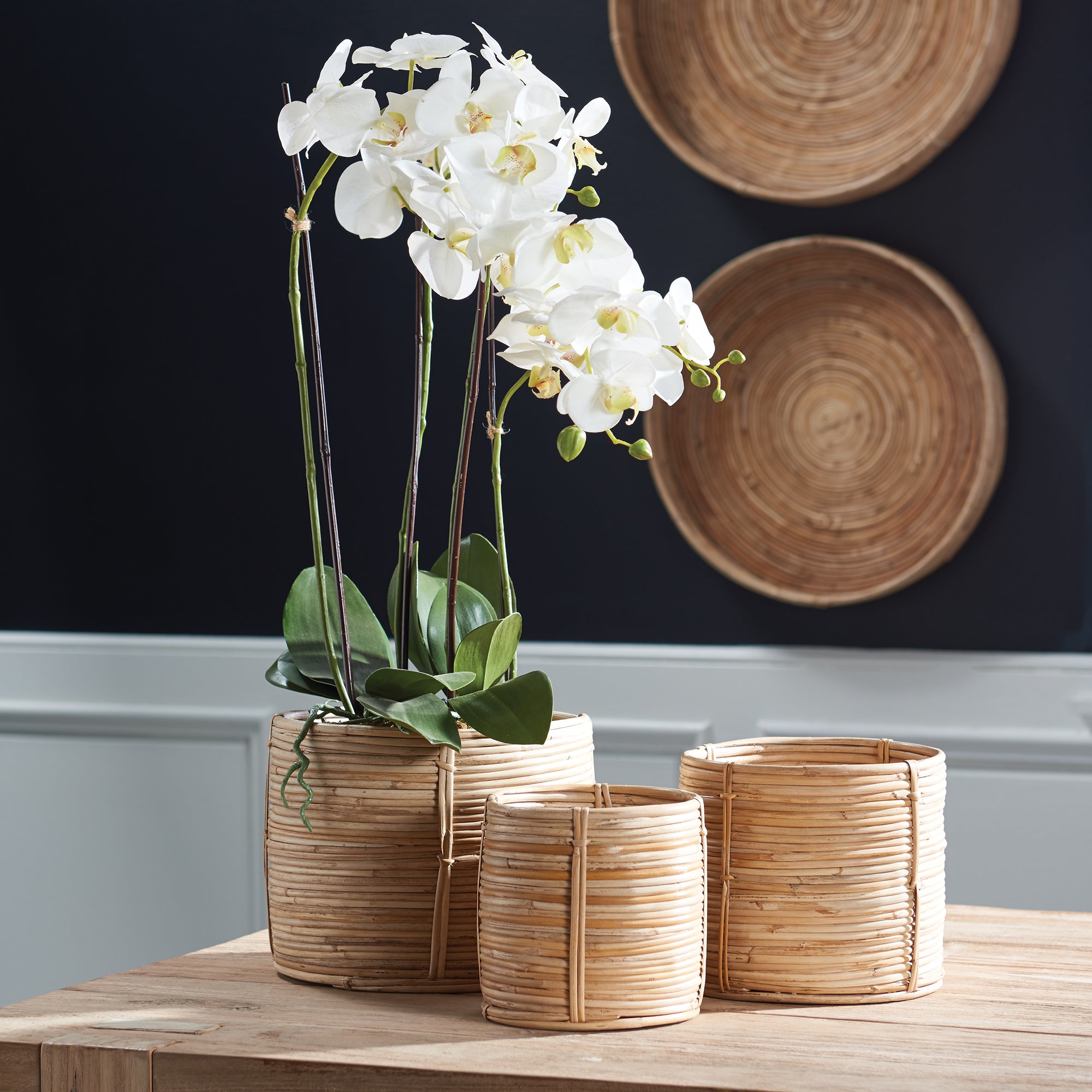 Cane Rattan Mini Round Baskets, Set Of 3 - View 2