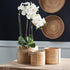 Cane Rattan Mini Round Baskets, Set Of 3 - View 2