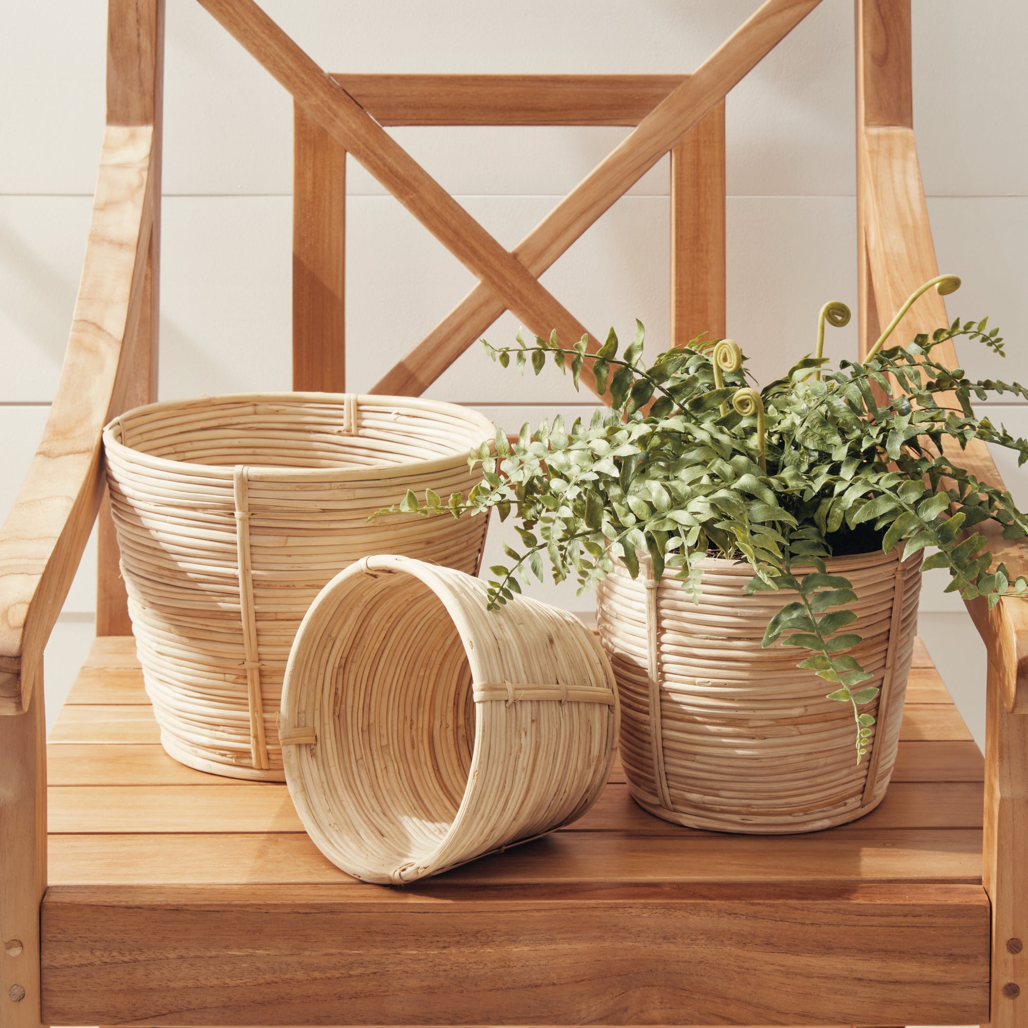 Cane Rattan Mini Round Baskets, Set Of 3 - View 3
