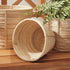Cane Rattan Mini Round Baskets, Set Of 3 - View 4